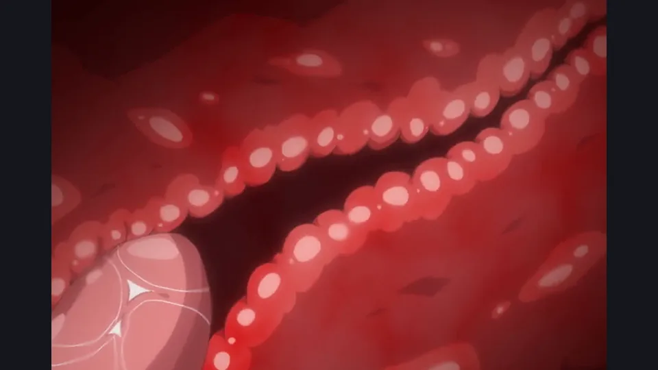 [Emotion] Heart Mark Oome. - 01-02 (OVA はーとまーく多め。 ＃１-２) - English Softsubs