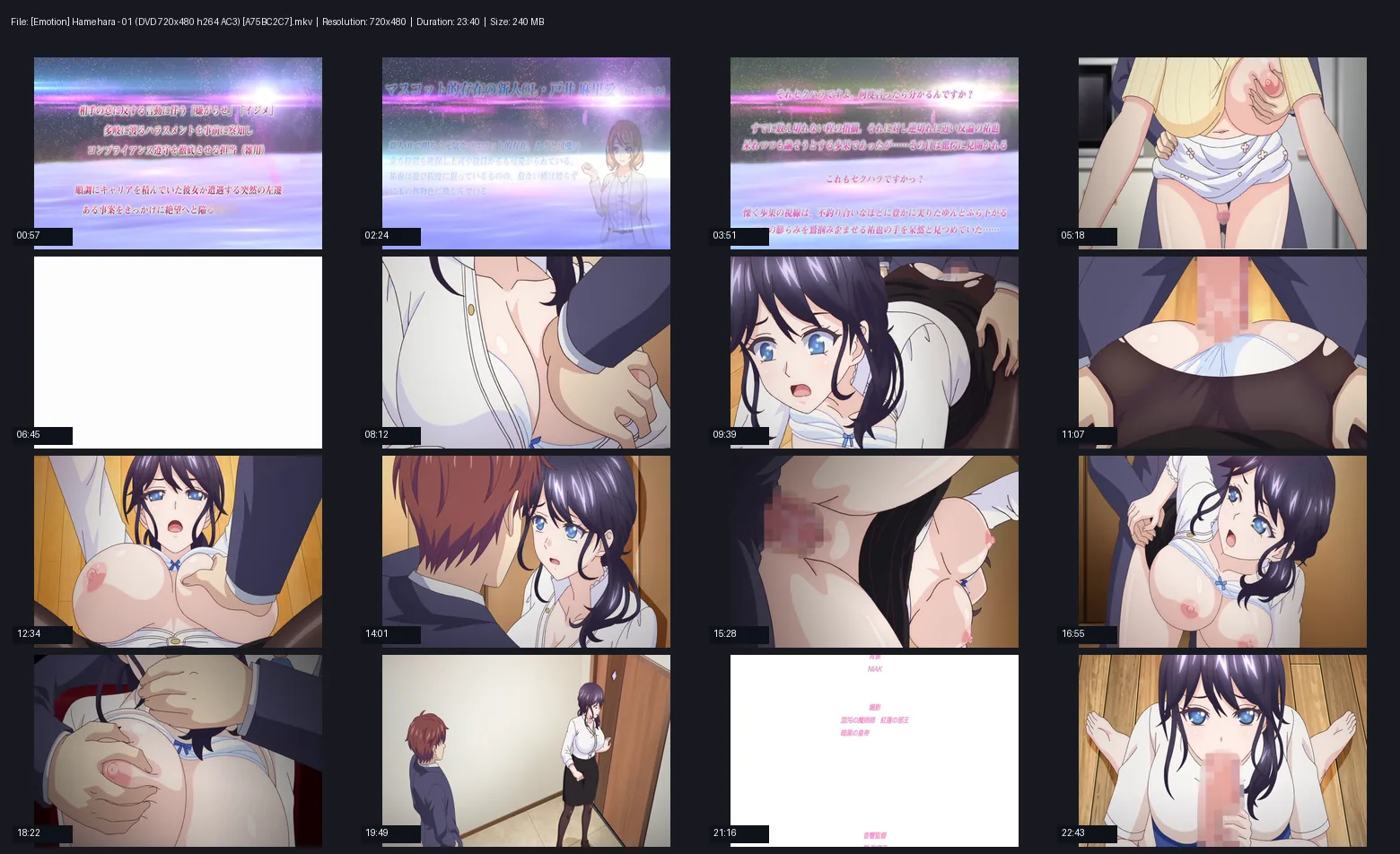 [Emotion] Hamehara - 01 (ハメハラ ～それセクハラですっ～) - English Softsubs
