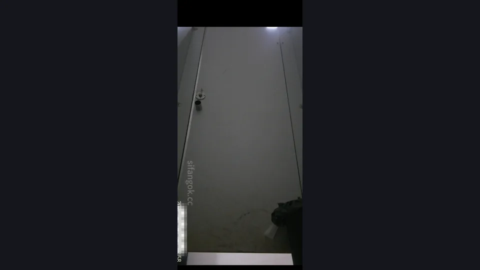 【ネット有名人トイレ撮影】マスターが女子トイレに忍び込み、成都のトップグループ放送局の白虎マンコを2つの角度から隠し撮り（3v）