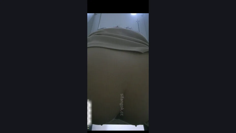 【ネット有名人トイレ撮影】マスターが女子トイレに忍び込み、成都のトップグループ放送局の白虎マンコを2つの角度から隠し撮り（3v）