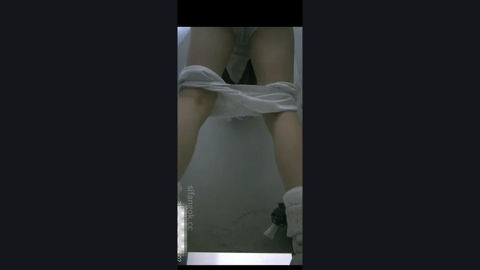 【ネット有名人トイレ撮影】マスターが女子トイレに忍び込み、成都のトップグループ放送局の白虎マンコを2つの角度から隠し撮り（3v）
