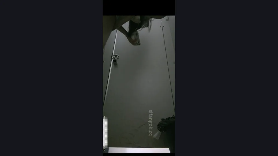 【ネット有名人トイレ撮影】マスターが女子トイレに忍び込み、成都のトップグループ放送局の白虎マンコを2つの角度から隠し撮り（3v）