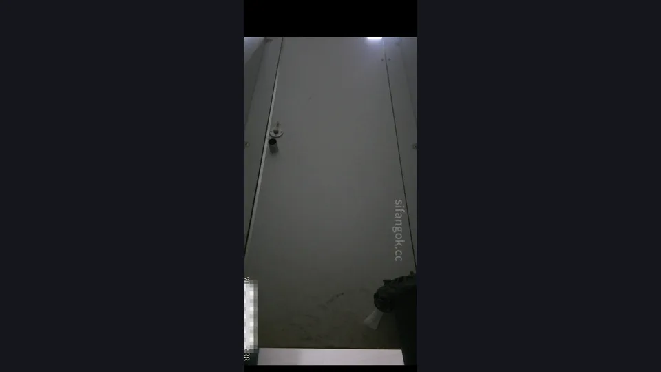 【ネット有名人トイレ撮影】マスターが女子トイレに忍び込み、成都のトップグループ放送局の白虎マンコを2つの角度から隠し撮り（3v）
