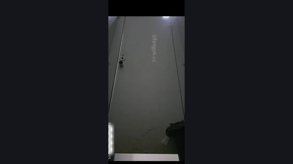 【ネット有名人トイレ撮影】マスターが女子トイレに忍び込み、成都のトップグループ放送局の白虎マンコを2つの角度から隠し撮り（3v）