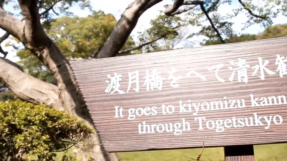 FC2-PPV-4994314 【素人_特価980pt】旦那とレス歴2年の人妻看護師【20代_152㎝_Cカップ】NTR中出し。放置された童顔若妻が他人棒を貪り、背徳感を感じながらイキまくる密会記録。