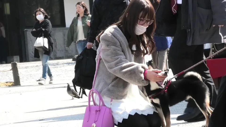 [FullHD]揺れる太もも・ふくらはぎ＋上下の隙間！！, [FullHD]最高アングル！！美脚ミニスカ！！綺麗なピンク！！Part1, [FullHD]超かわいいはみパン2人組み！！Part1, お花見正座で見えっぱなし～動画～