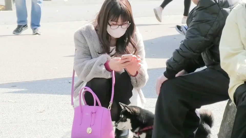 [FullHD]揺れる太もも・ふくらはぎ＋上下の隙間！！, [FullHD]最高アングル！！美脚ミニスカ！！綺麗なピンク！！Part1, [FullHD]超かわいいはみパン2人組み！！Part1, お花見正座で見えっぱなし～動画～