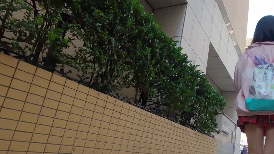 NEOS-007 つきまとい07 褐色の肌に口をぽかんと開けてふらふら歩きながら課外学習する●稚な姿を盗撮しながらつきまとい睡眠強● 連れ込み強●で孕ませ射精。鳴咽と共に盛大に吐瀉浴槽に顔から何度も沈めた監禁記録