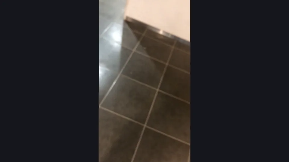 危険!!女子寮侵入!!！洗濯機から超～新鮮な汚パンツをゲット！！, 危険！女子寮侵入！美少女女子大生の下着パラダイス, 地味メガネ娘の純白パンチラ＆脱ぎ姿＆汚パンツチェック, 危険!!女子寮侵入!!！洗濯機から超～新鮮な汚パンツをゲット！！
